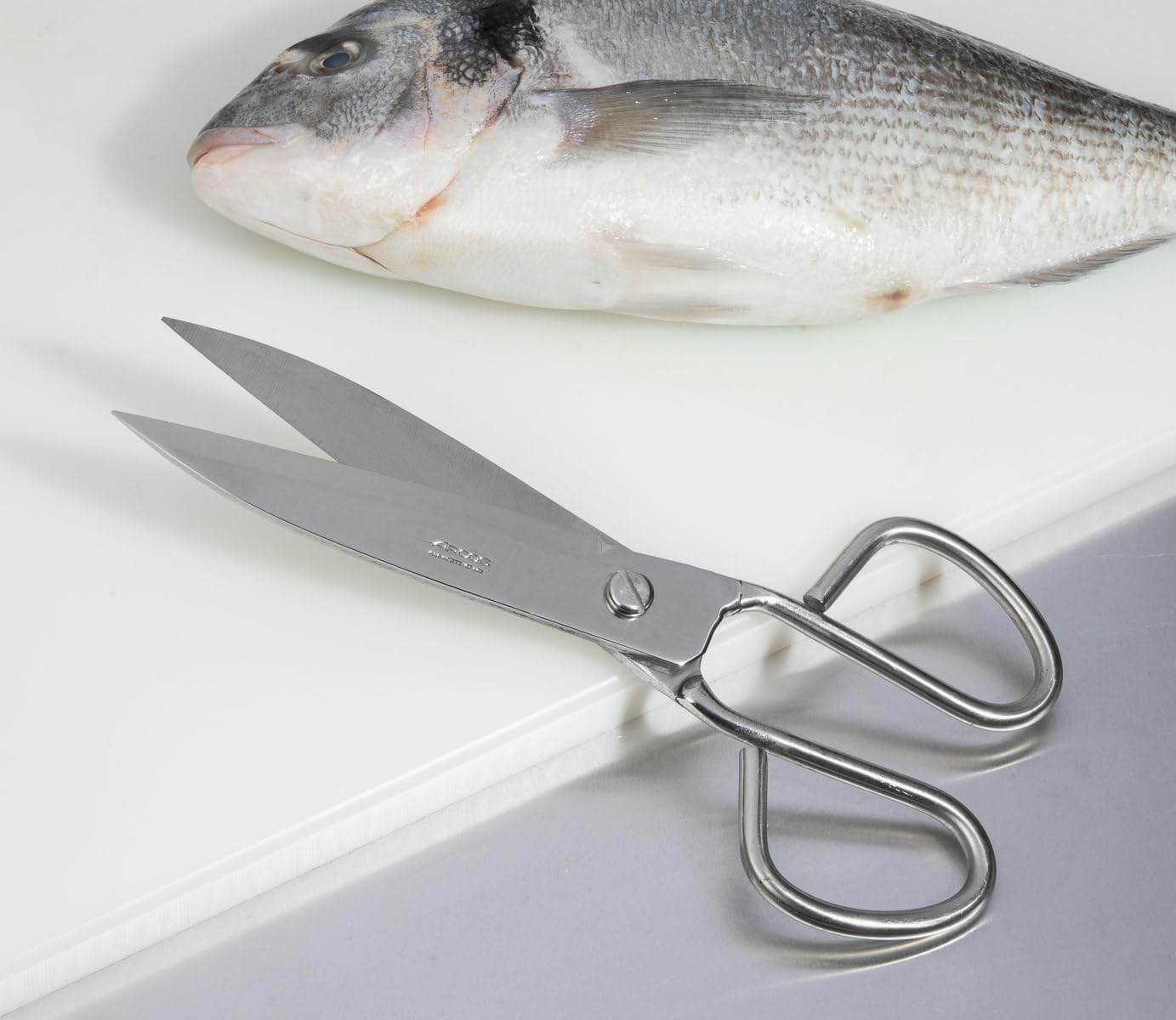 Tijeras Pescado - ARCOS