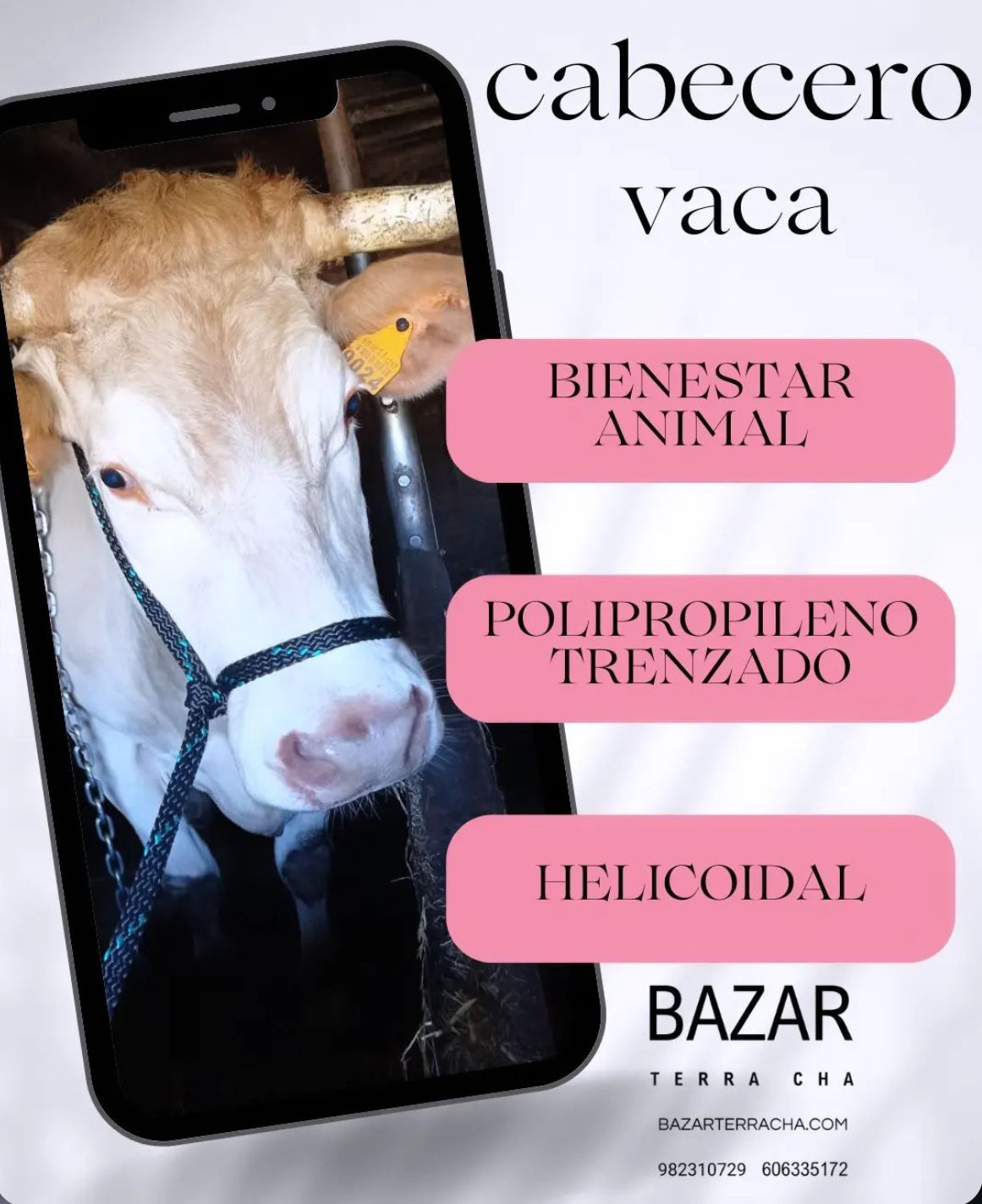 Cabecero vaca / ternero
