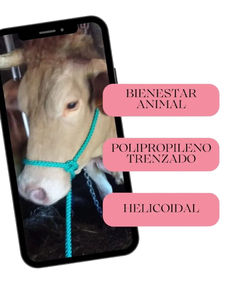 Cuerda Bienestar Animal